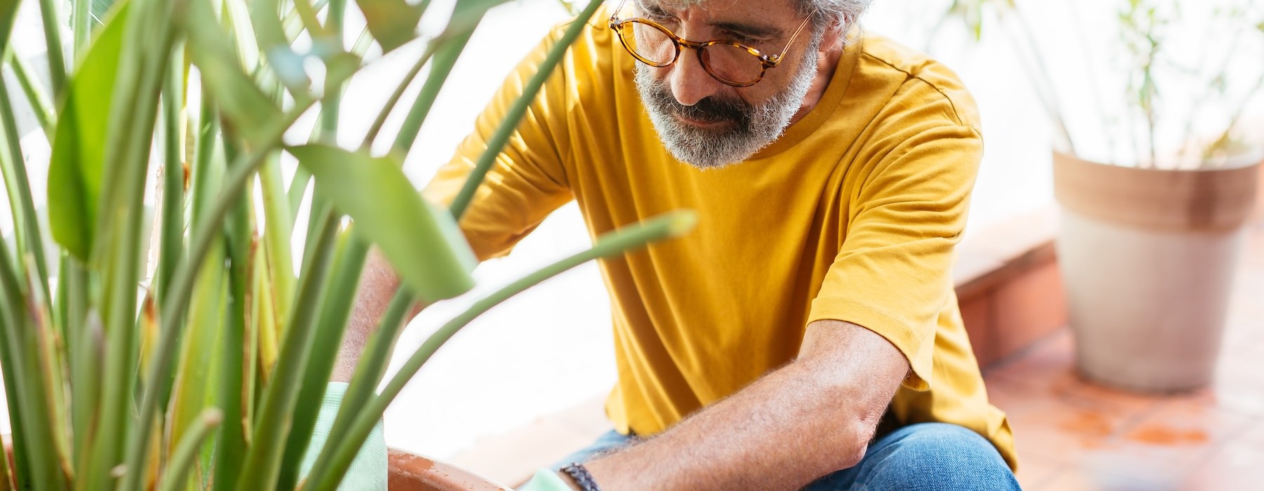 a person taking care of a plant